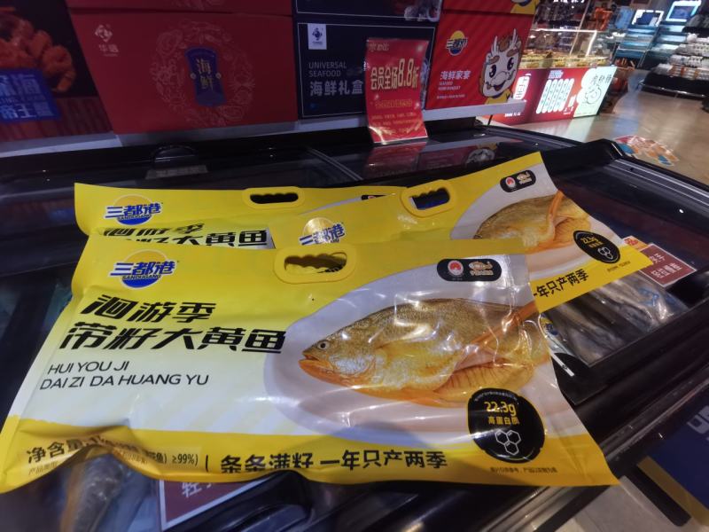 洄游季大黄鱼1000g