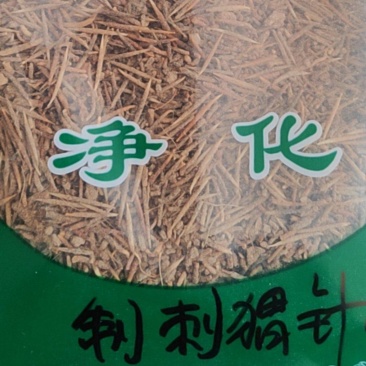 刺猬针干货刺猬针中药材！欢迎选购！量大从优！