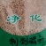 刺猬针干货刺猬针中药材！欢迎选购！量大从优！
