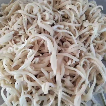 皮丝
