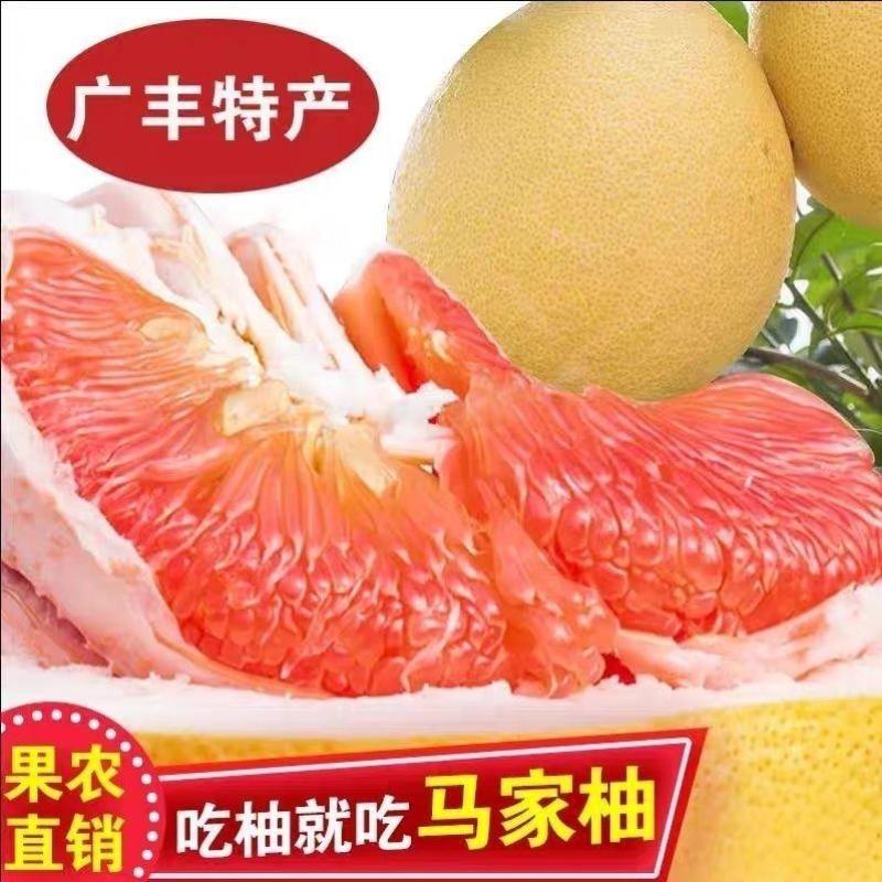柚子、江西特产马家柚产地直销一手货源诚信经营