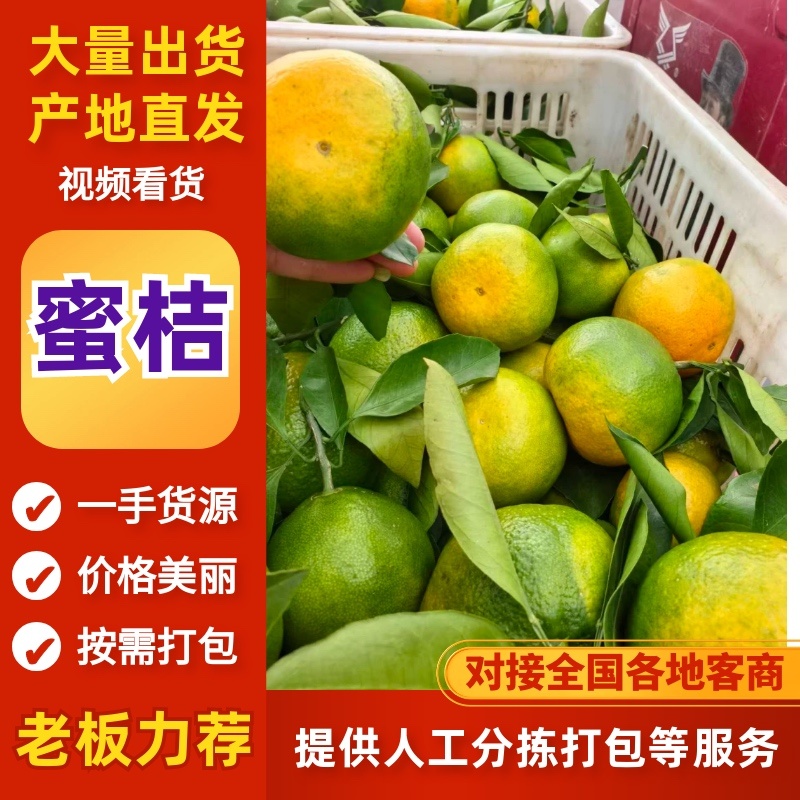 湖北高山密橘，酸甜可口多汁薄皮儿。产地直发，