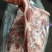 鲜分肥猪前上肉