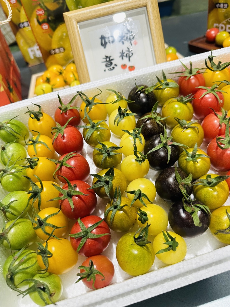 【基地直供颜色丰富】七彩圣女果皮实肉厚耐储运风味独