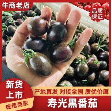 【基地直供稀有品种】黑圣女果花青素丰富甜度高风味独特