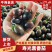 【基地直供稀有品种】黑圣女果花青素丰富甜度高风味独特
