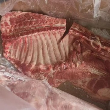 鲜分肥猪通排