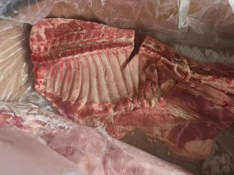 鲜分肥猪通排
