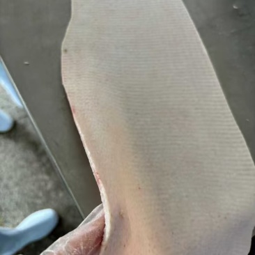 肥猪脊皮