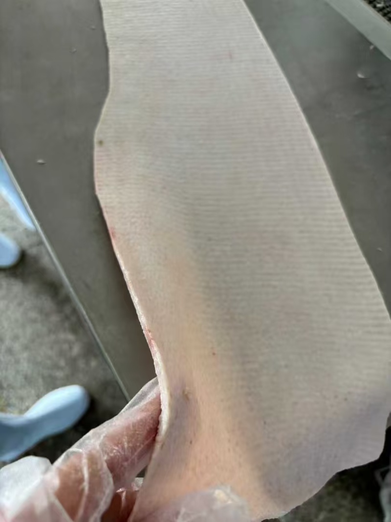 肥猪脊皮