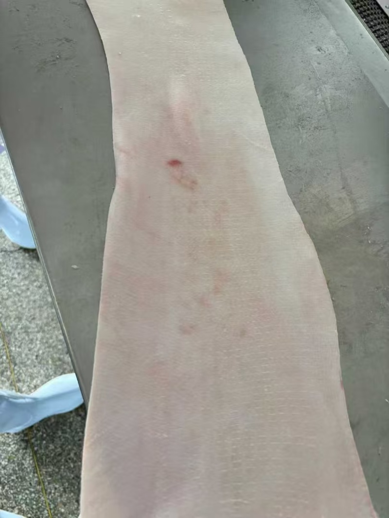 肥猪脊皮