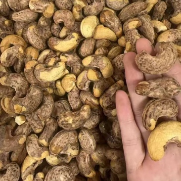 紫皮腰果