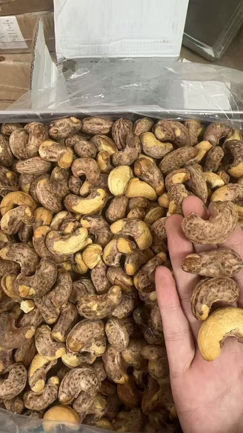 紫皮腰果
