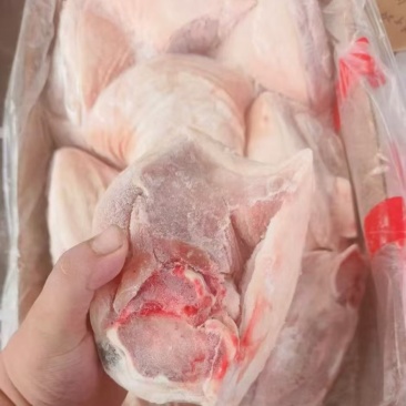 肥猪后肘