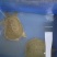 纯稻田甲鱼。没用黄粉染色和激素催长。自然成色。