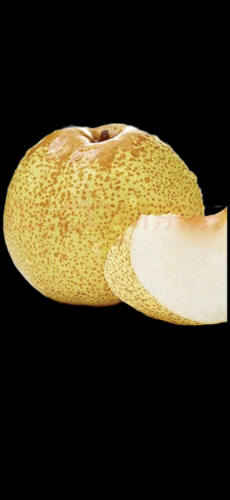 山西隰县金密梨