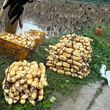 23号还有少量车位需要的联系