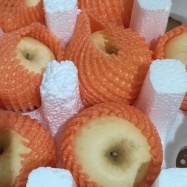 维纳斯黄金