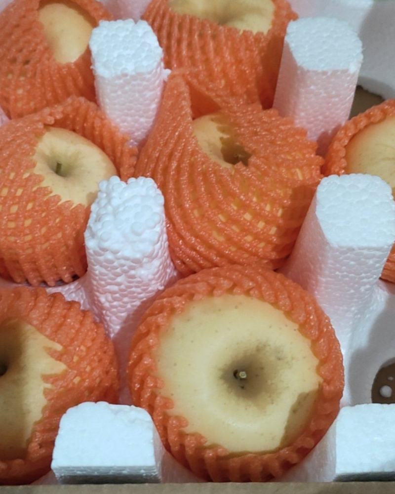 维纳斯黄金