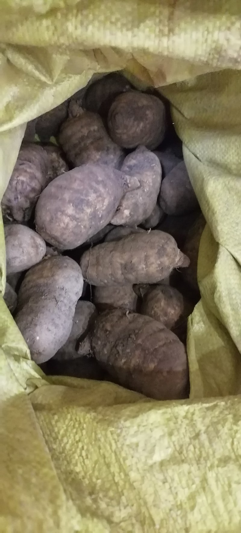 正宗赫章乌天麻