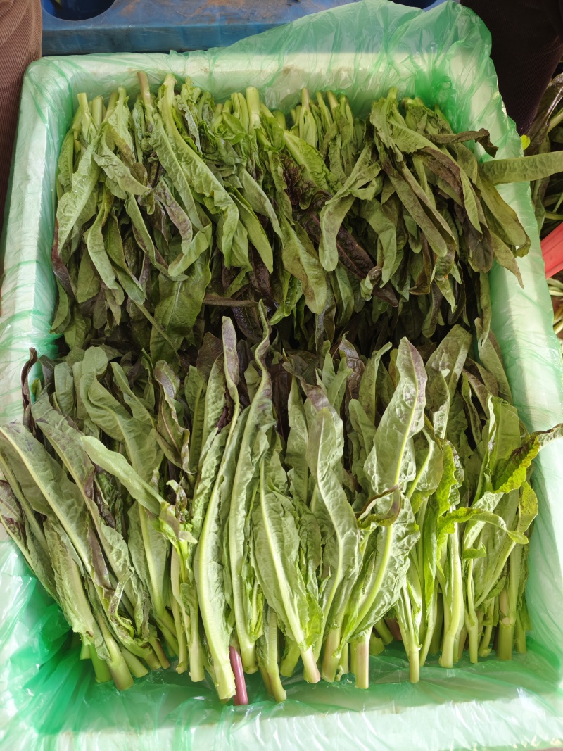红叶莴笋尖，新鲜脆嫩，笋香爽口