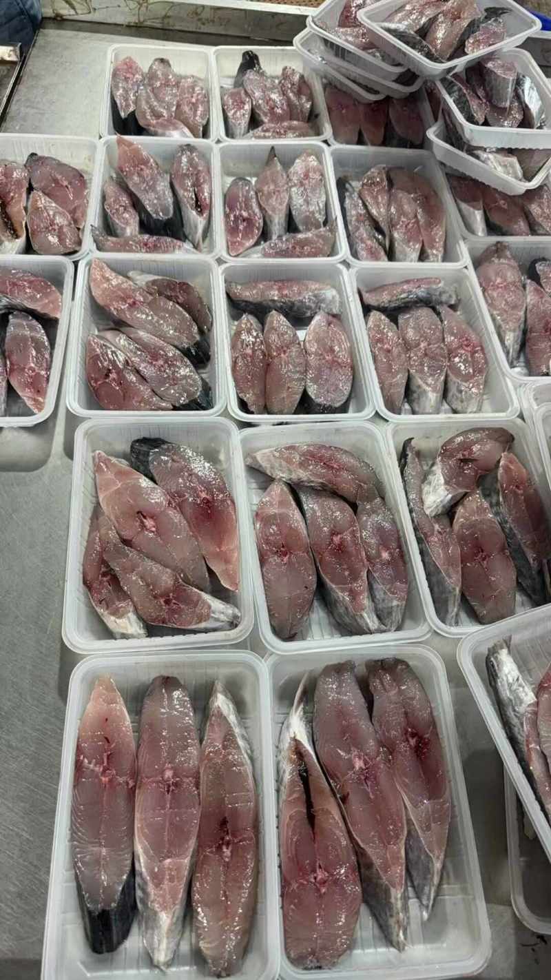 本港白腹马鲛鱼纯肉3-4块，5-6块400g