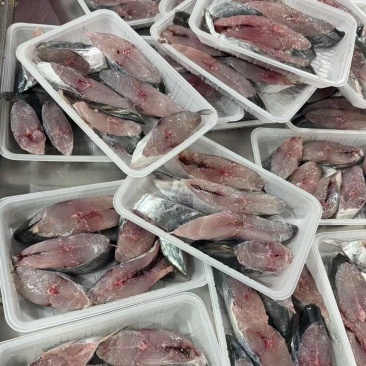 本港白腹马鲛鱼纯肉3-4块，5-6块400g