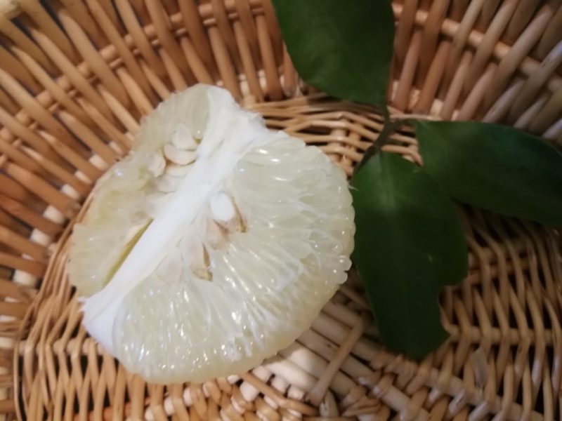 安江冰糖柚皮薄多汁清甜爽脆微苦回甘新鲜采摘果园发货
