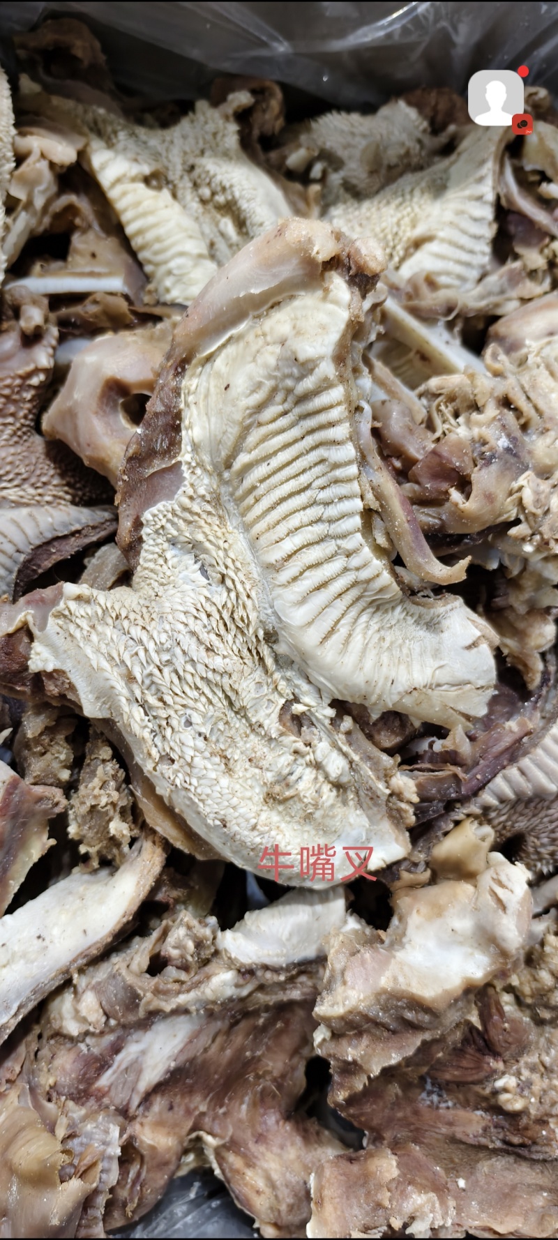 牛嘴叉（带天梯草须）