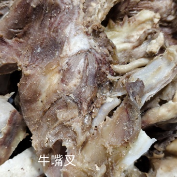 牛嘴叉（带天梯草须）