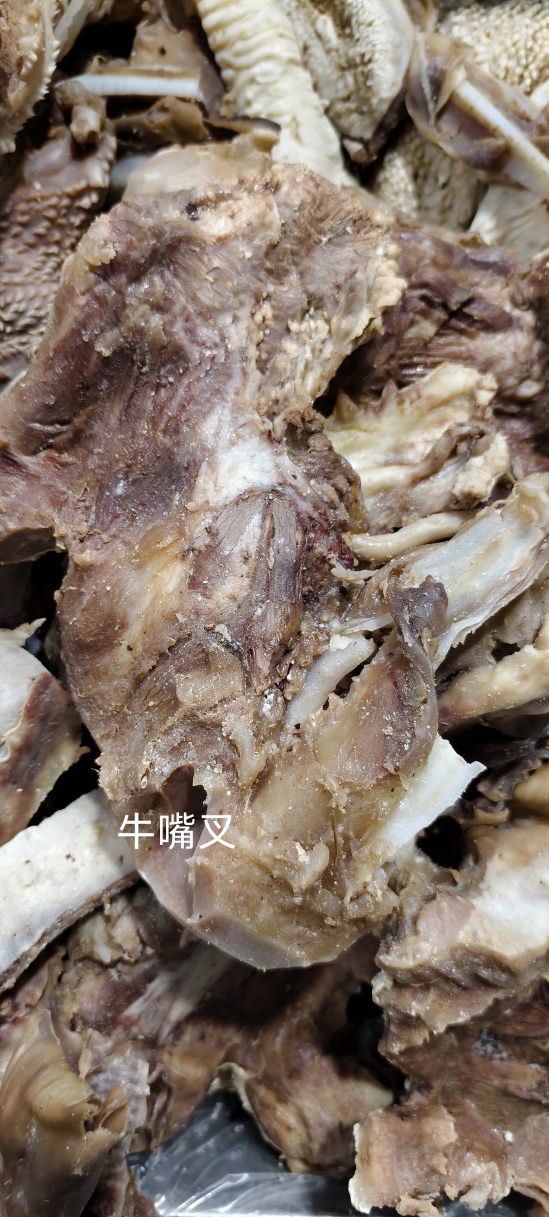 牛嘴叉（带天梯草须）