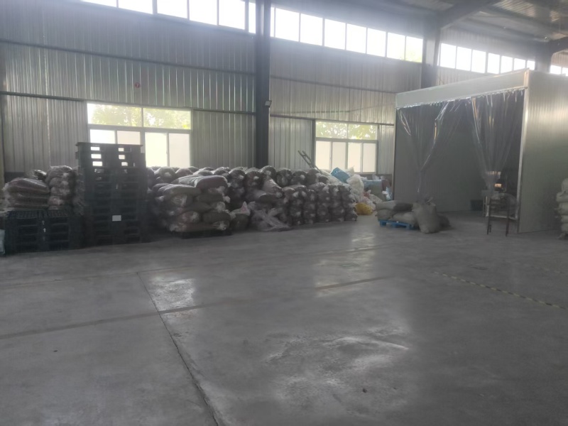 黄粉虫干，面包虫干批发零售