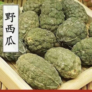 野西瓜优质精选新货野西瓜批发零售量大从优