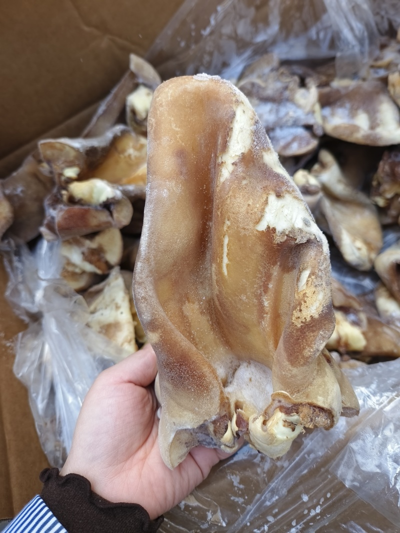 火烧毛牛耳片