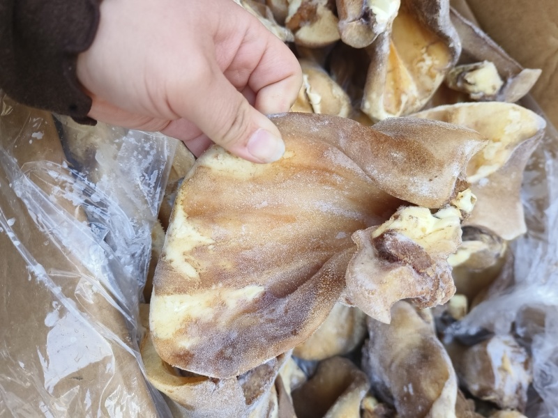 火烧毛牛耳片
