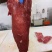 辣椒肉