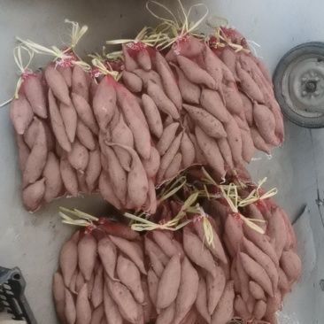 烟薯
