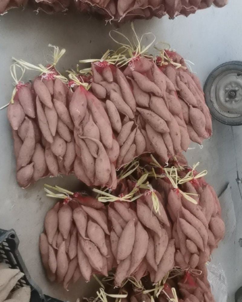 烟薯