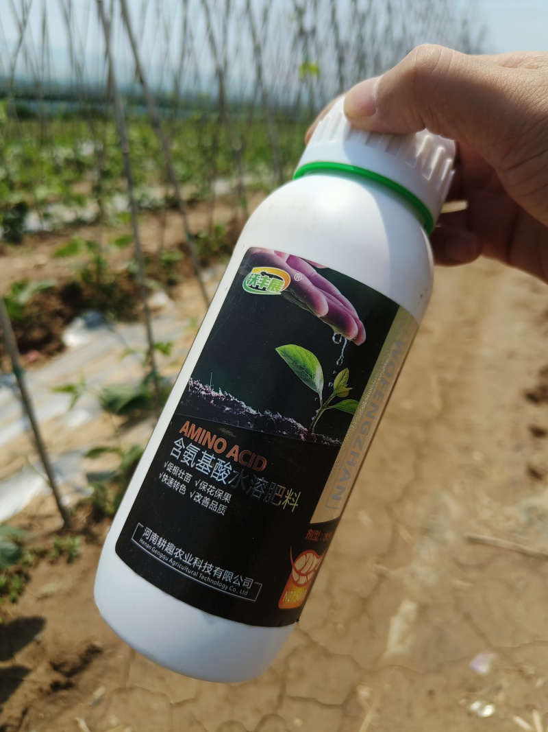 含氨基酸水溶肥叶面肥生根壮苗保花保果提高品质缓解药害