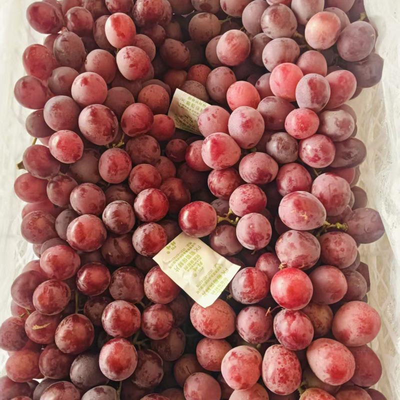 甘肃敦煌小白框精品红提葡萄色泽鲜艳靓丽颗粒均匀饱满口感好