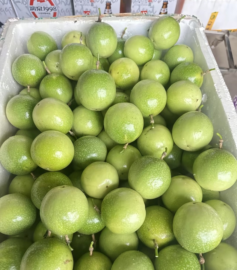 钦蜜9号百香果