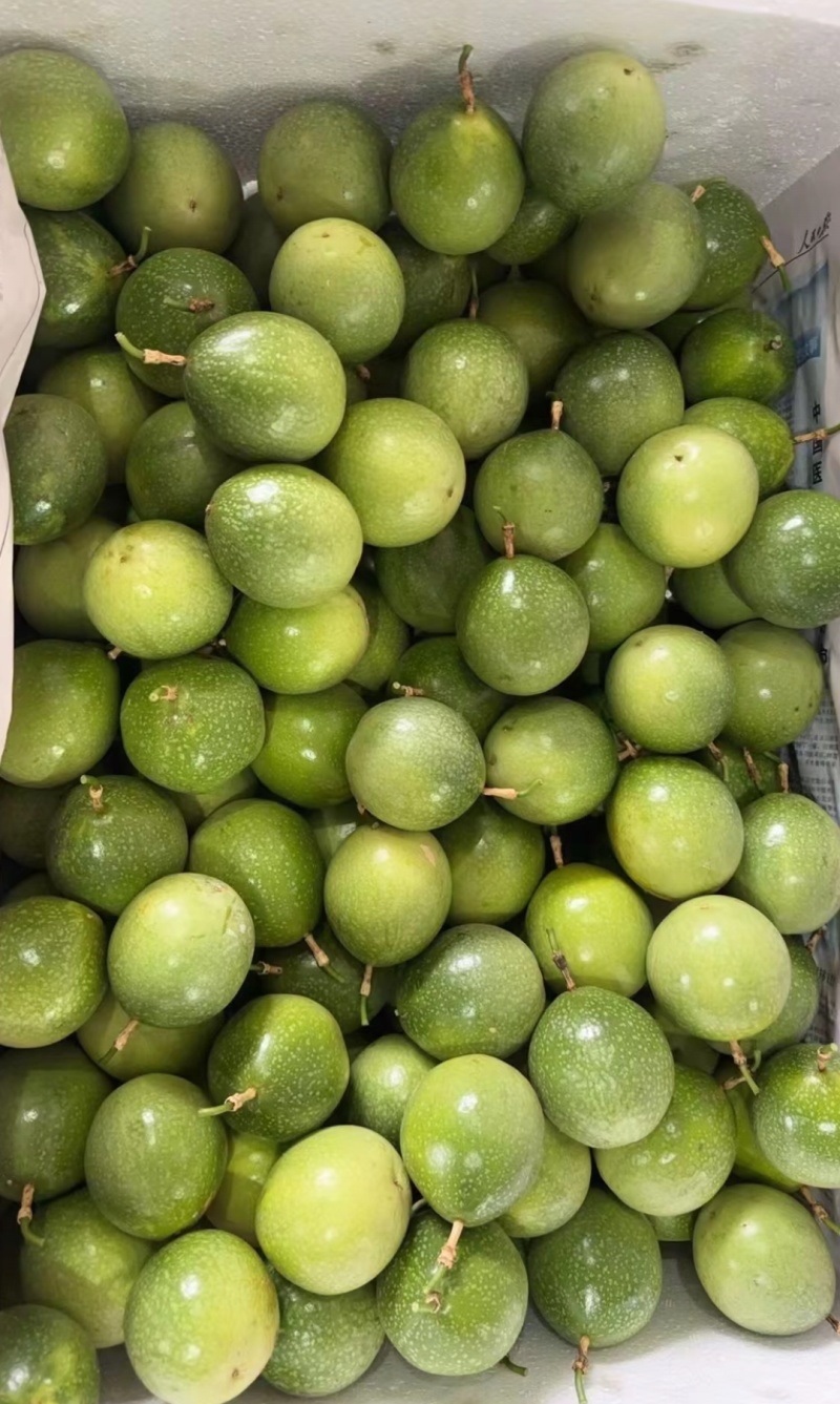 钦蜜9号百香果