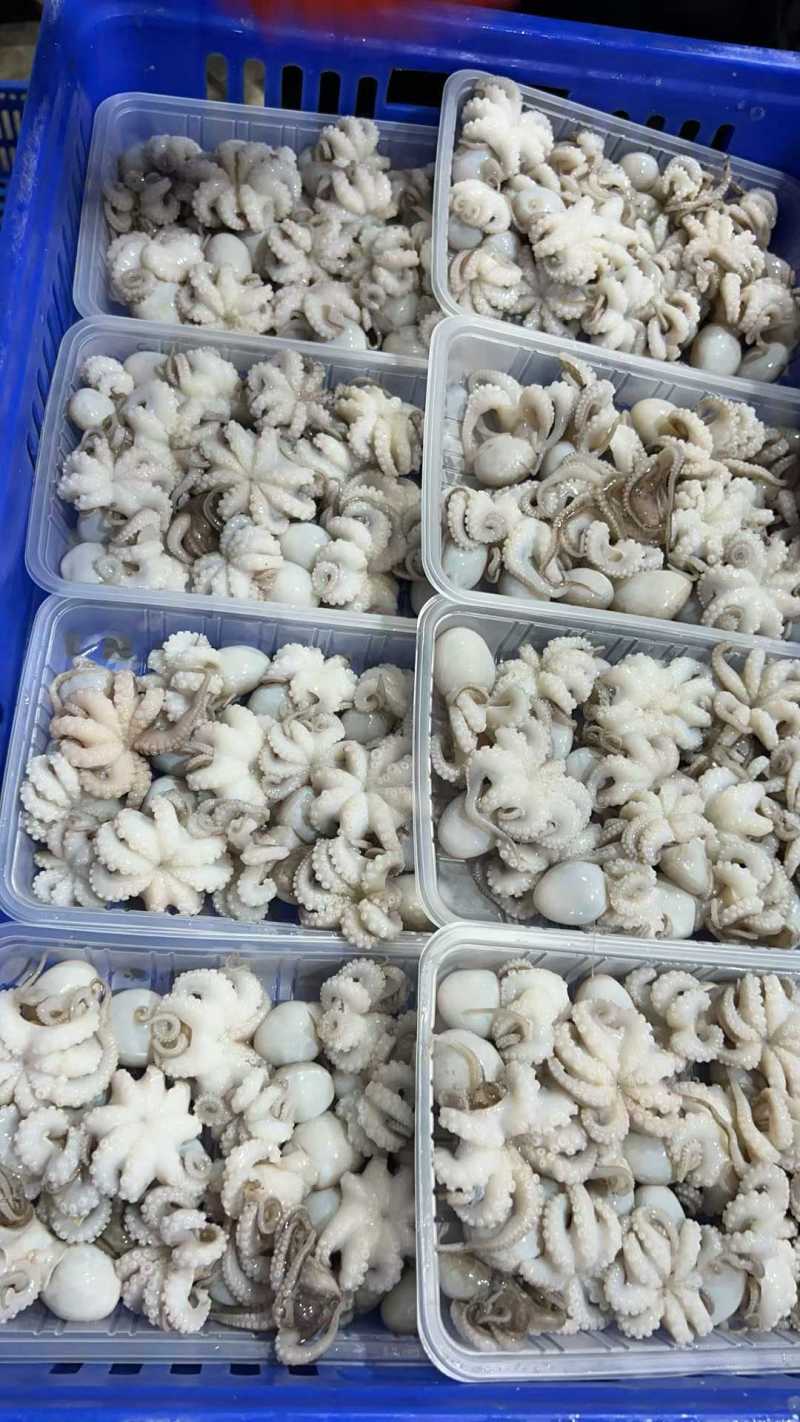 八爪鱼，一盒400g
