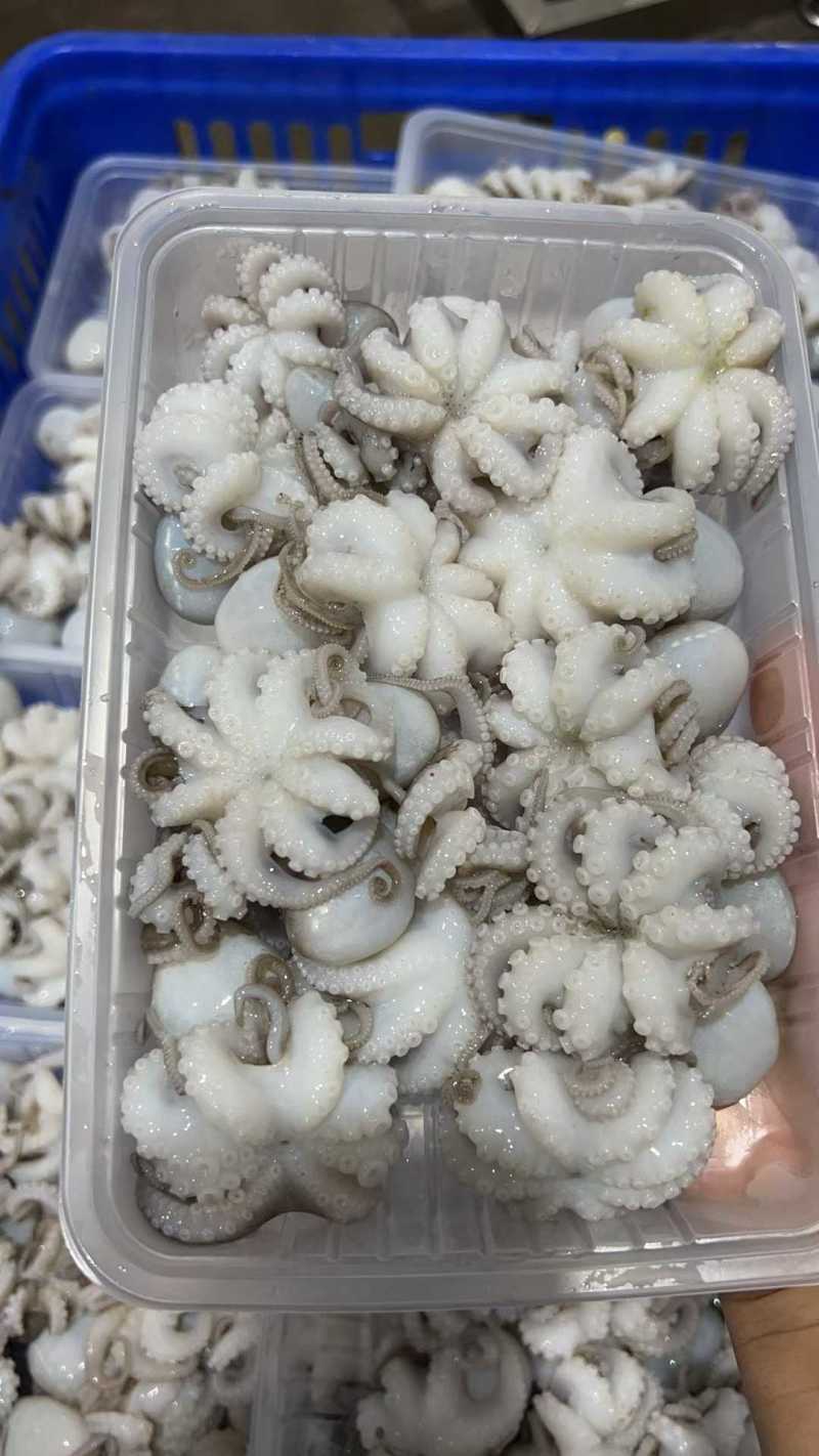八爪鱼，一盒400g