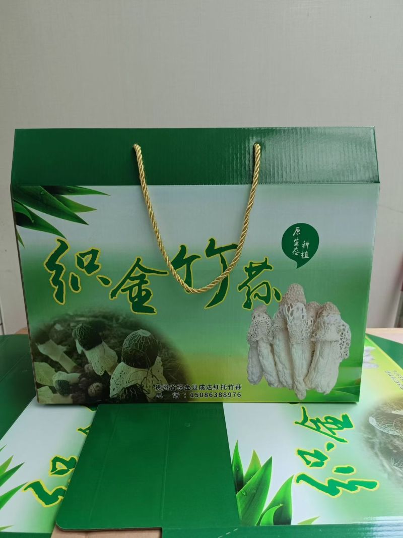 织金竹荪