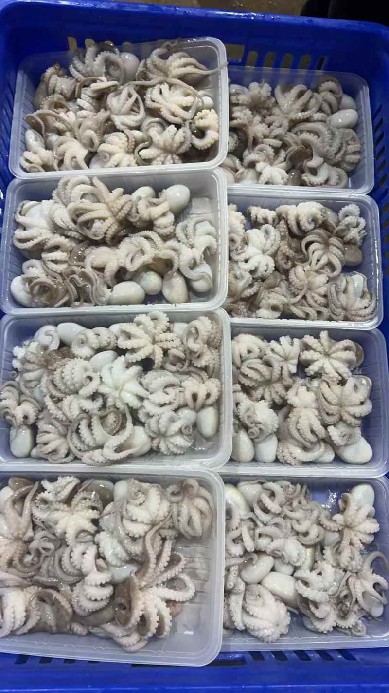 八爪鱼，一盒400g