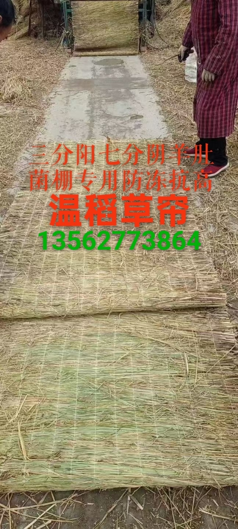 稻草苫草帘
