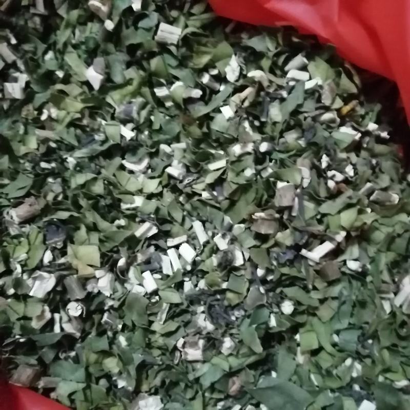 广西玉林精品小驳骨，品质好，无农药残留纯野生的，自产自销