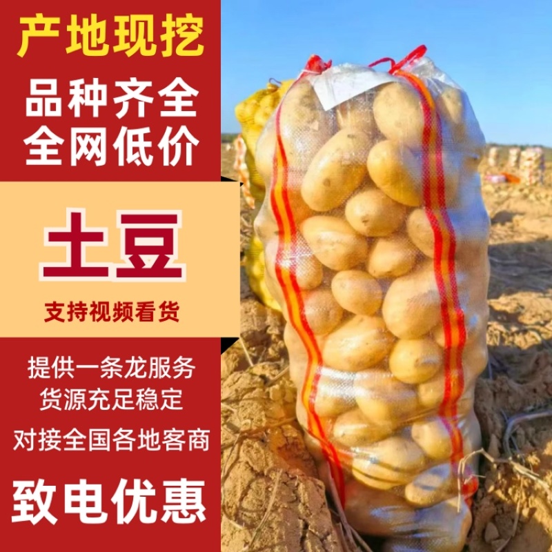 陕西榆林土豆大量有货品质保证服务周到价格美丽