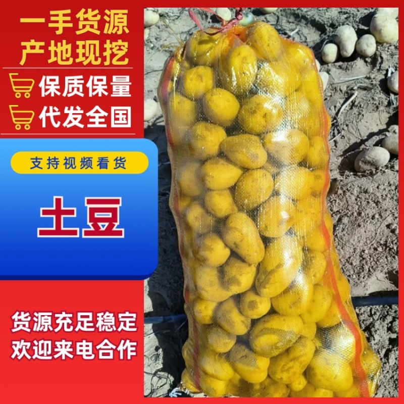 陕西榆林土豆大量有货品质保证服务周到价格美丽